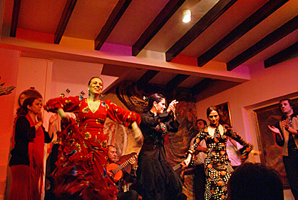 los gallos-5