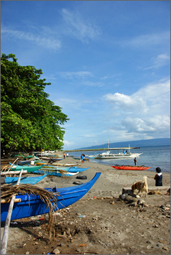 silliman