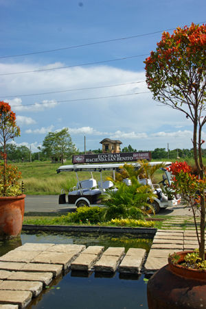 Terrazas de Barako 25