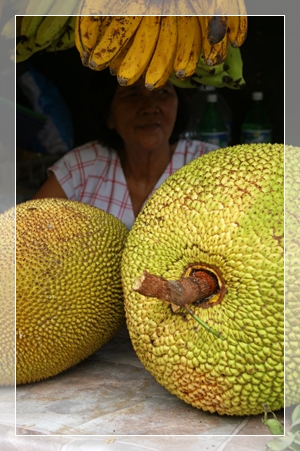 moalboal market 1