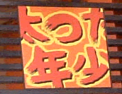 TERIYAKI4