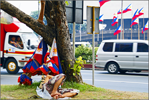 flag 5