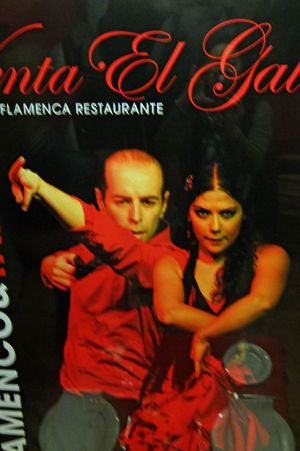 venta el gallo-13