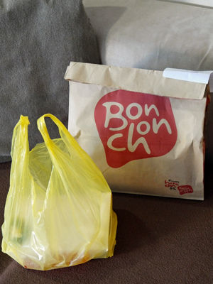 paper bag-2