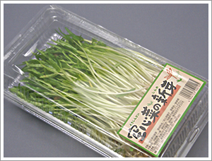 kangkong1