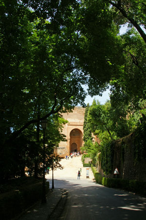 alhambra 56