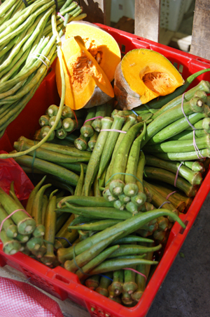 vege 10