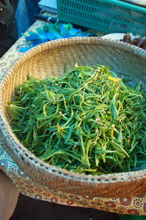 vege 2