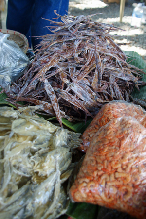 seafood 6