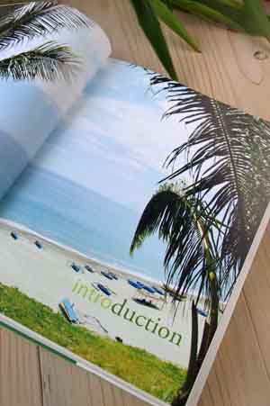 coconut 3
