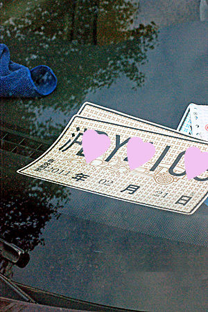 no plate