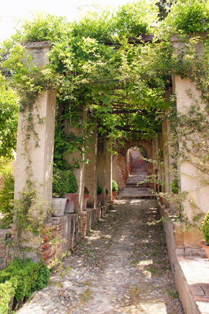 alhambra 49