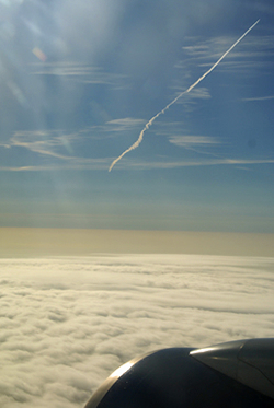 flt