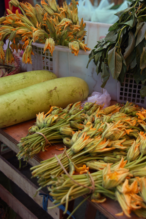 vege 8