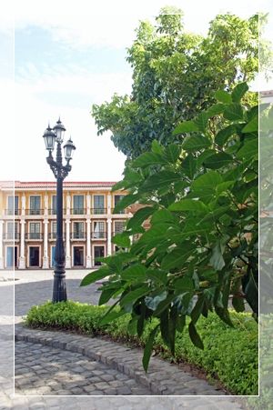 las casas filipinas de acuzar 68