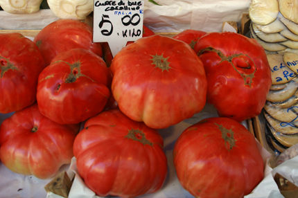 tomato6