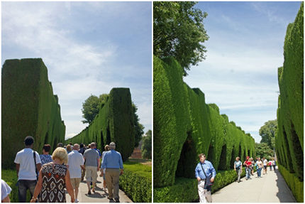 alhambra 44