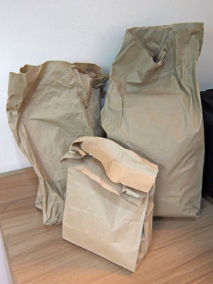 paperbag 2