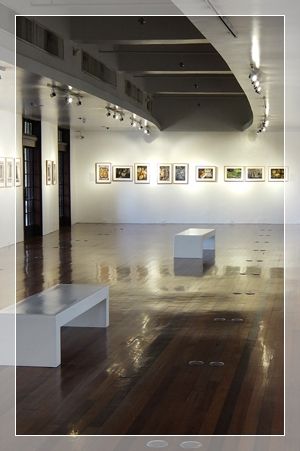 photo exhibition 1
