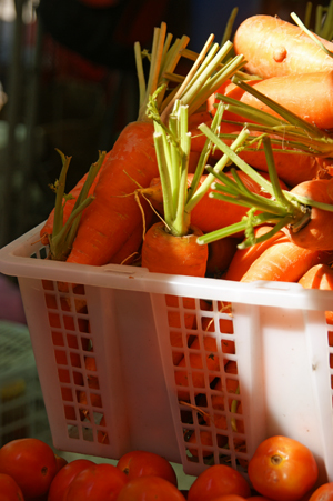 vege 9