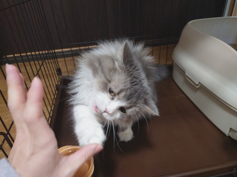 DSC_0015_BURST20260111115652546