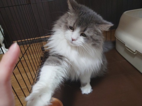 DSC_0009_BURST20260111115652546_COVER