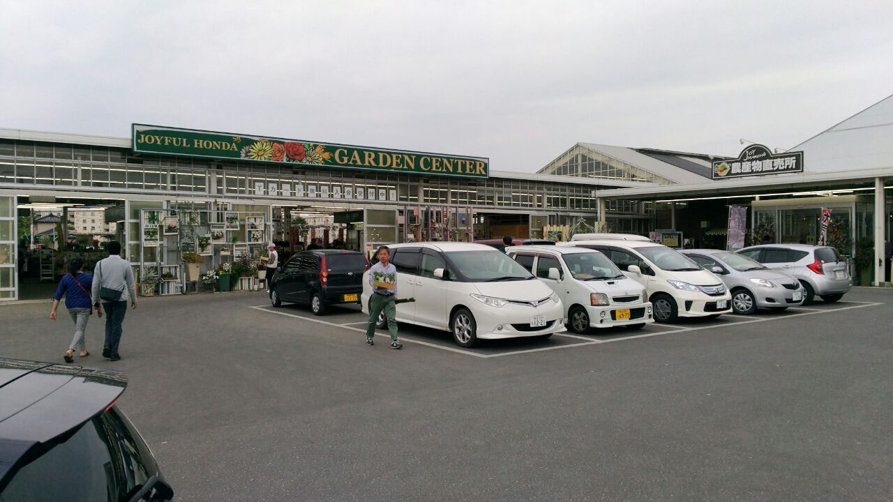 ジョイフル本田幸手 ガーデンセンター 埼玉多肉ブログ
