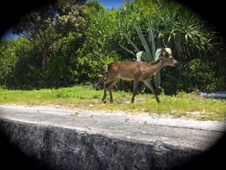 IMG_0565