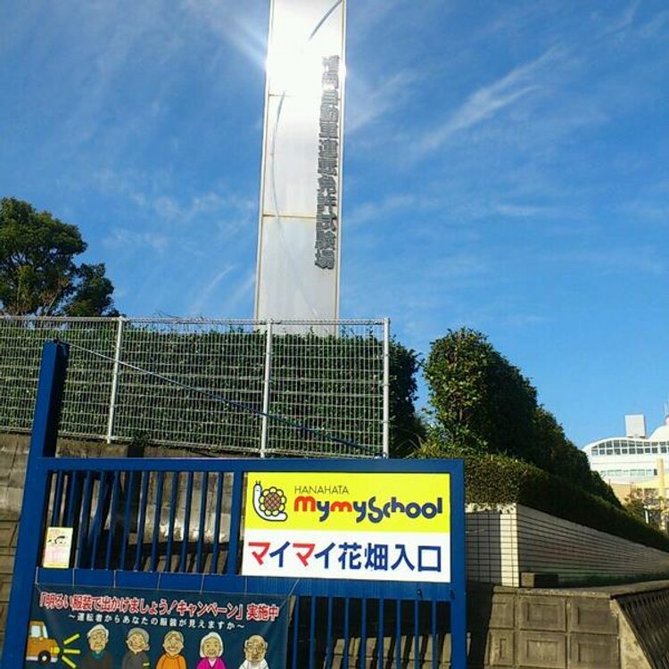 免許更新 全開ハードボイルドの結末は俺が決める