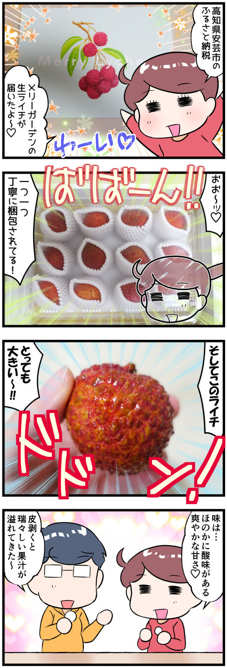 ふるさと納税で高知県の国産ライチ前半