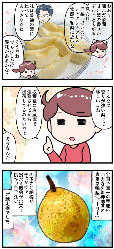 ふるさと納税のヤーリー後半