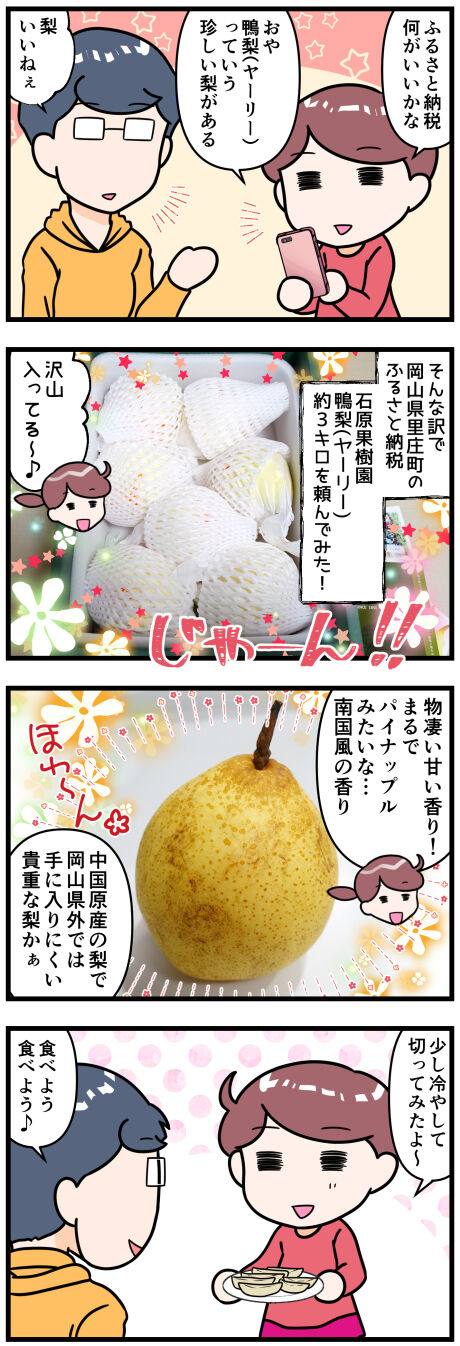 ふるさと納税のヤーリー前半