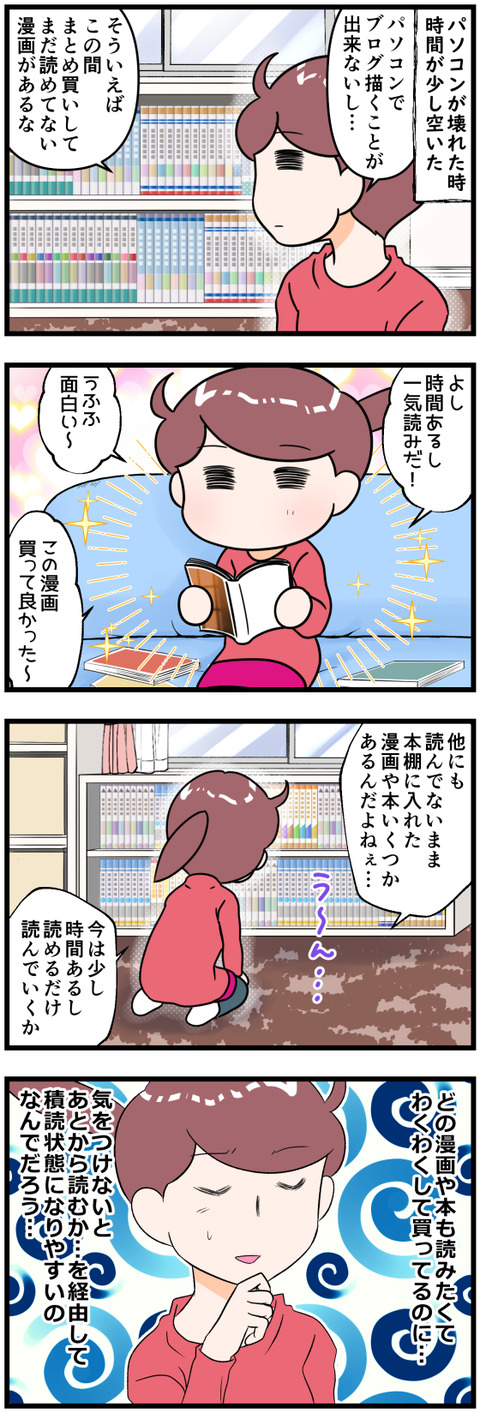 積読になってしまう謎完成