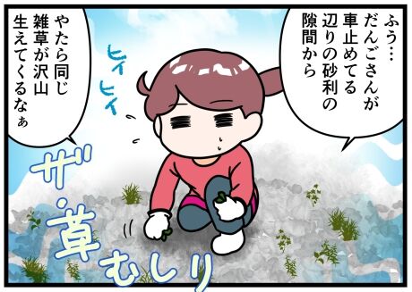 真夏が近づくと庭に雑草がわさわさ生えてくるツライ 晴れのちもちごめ