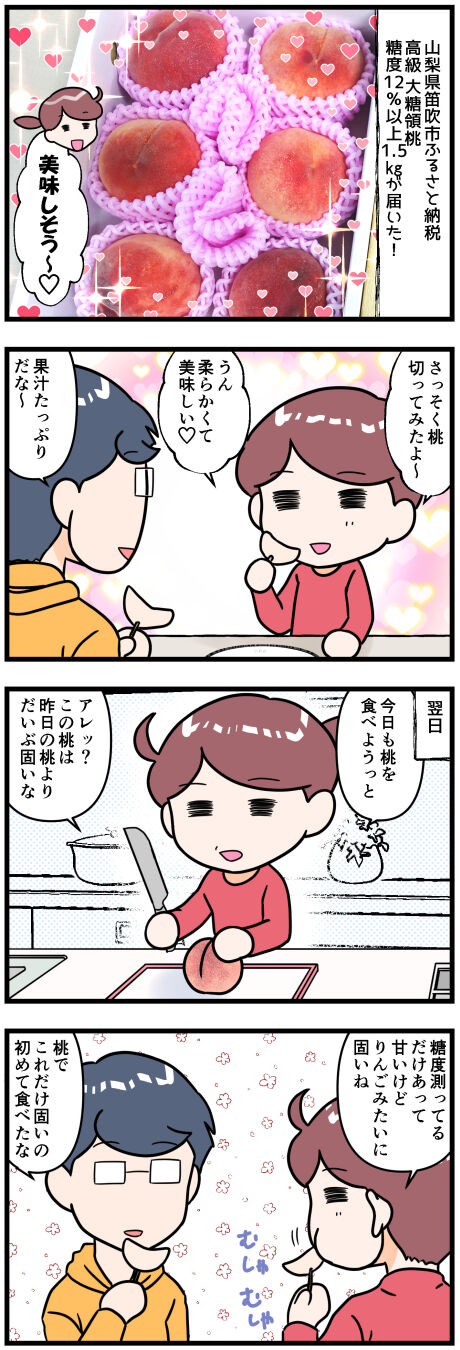 ふるさと納税大糖領桃前半