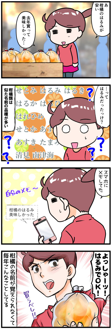 柑橘は似た名前が多いよね完成