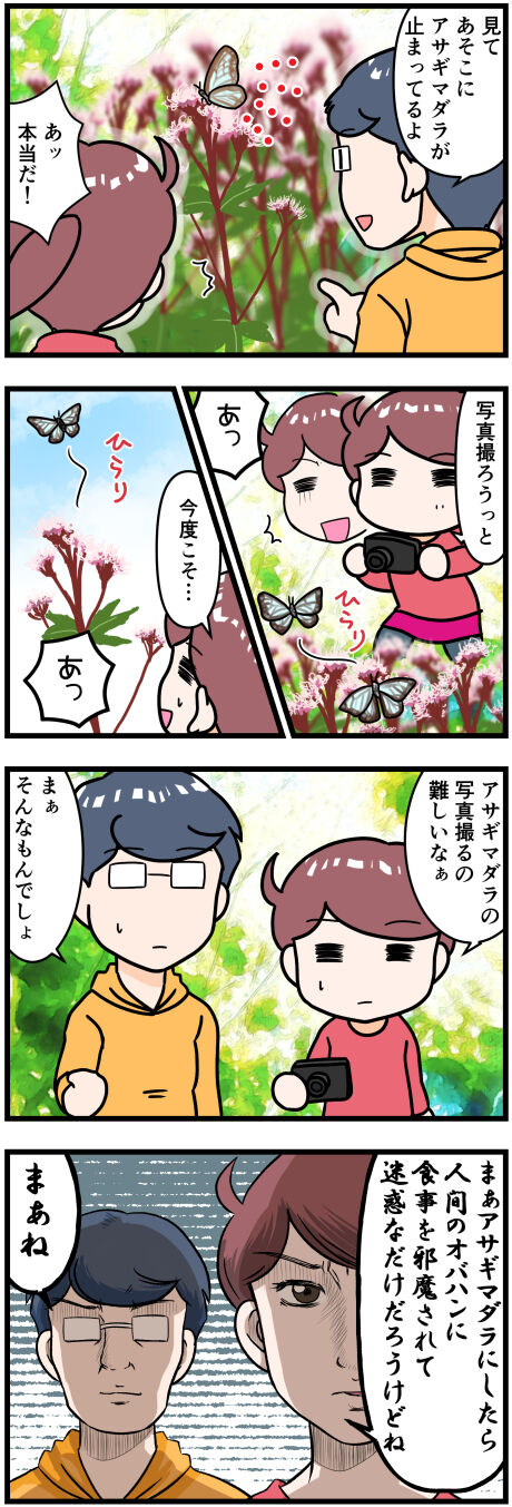 アサギマダラの写真を撮りたいのだが完成