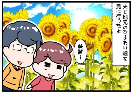 ひまわり畑の迷路にトライした時の夫の反応が相変わらずだった 晴れのちもちごめ
