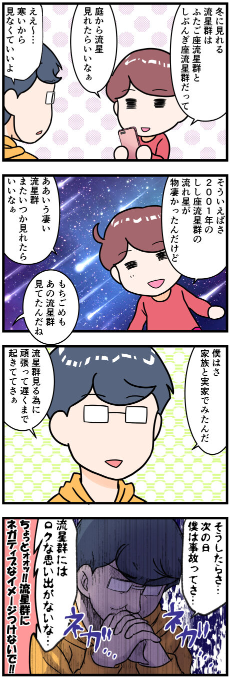 流星群の思い出完成