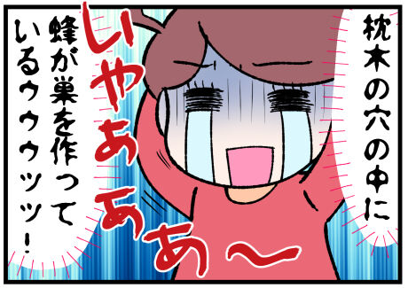 意外な場所にクマバチの巣後半