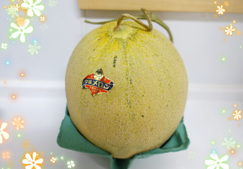 夕張メロン食べる前