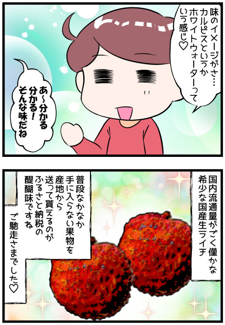 ふるさと納税で高知県の国産ライチ後半