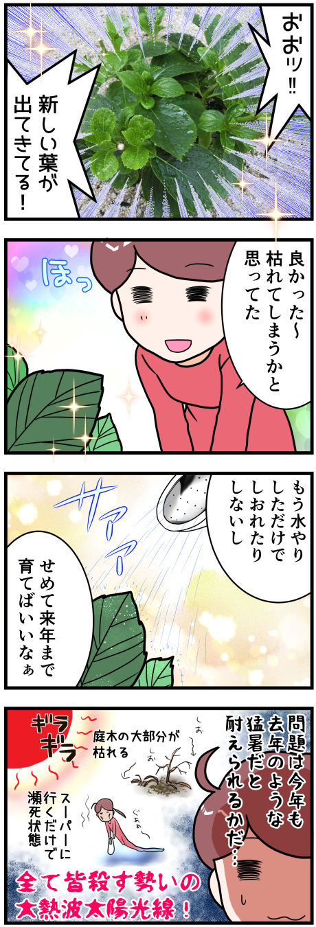 紫陽花のその後完成