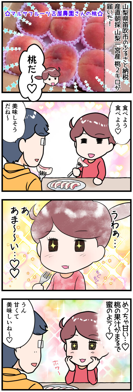 ふるさと納税山梨県笛吹市前半