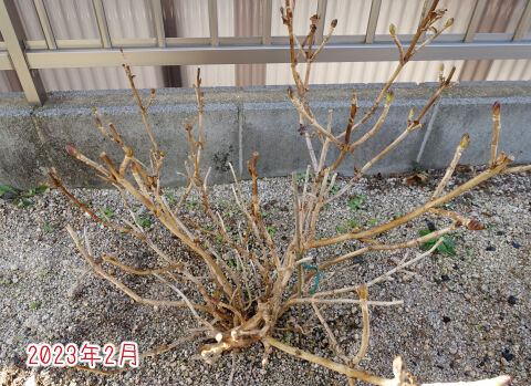 冬の万華鏡