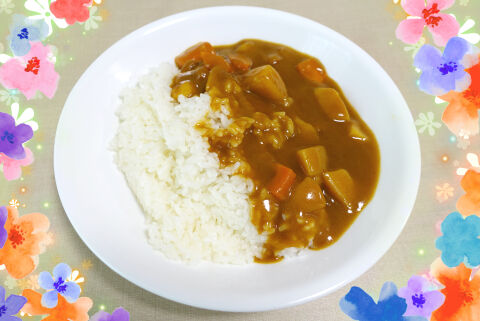 バーモントカレー480