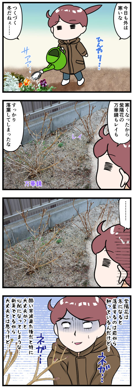 紫陽花は冬は落葉するけど完成