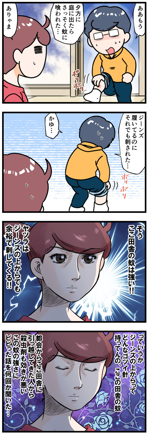 田舎の蚊は強い完成