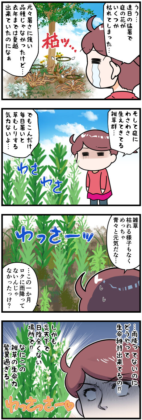 猛暑と庭の花と雑草完成