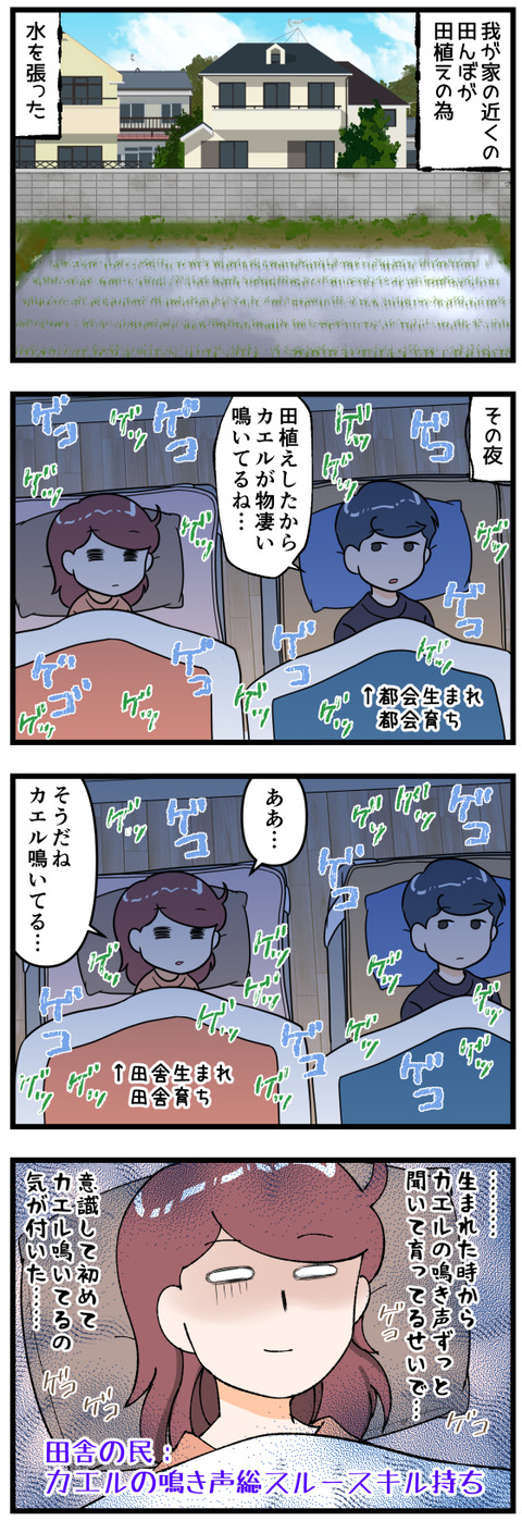 夜はカエルの鳴き声が凄いのだけど完成